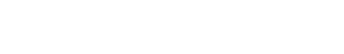 nico salas