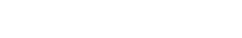 BAILEY LEWIS