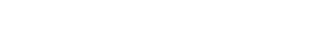 nolan borgia