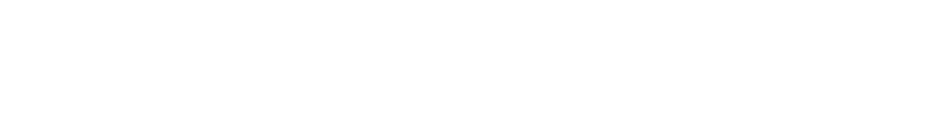 THE LEGACY