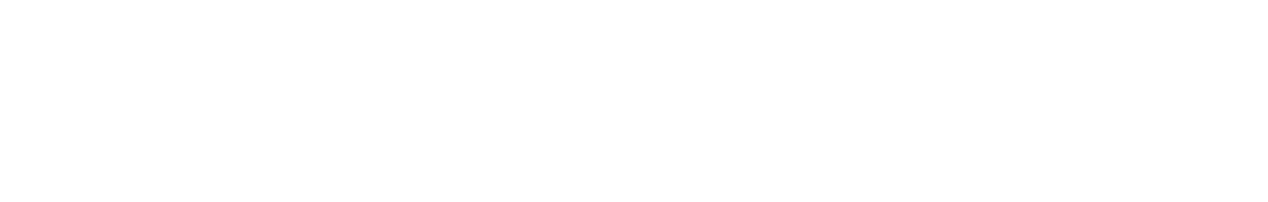 BRONZE SPONSORS
