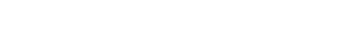BRONZE Sponsors