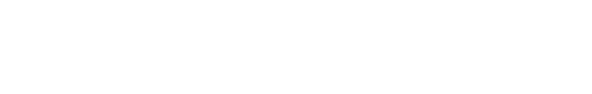 Platinum SPONSORS