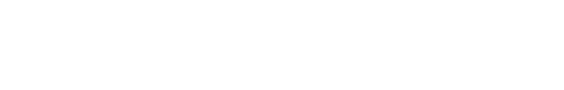 Platinum Sponsors