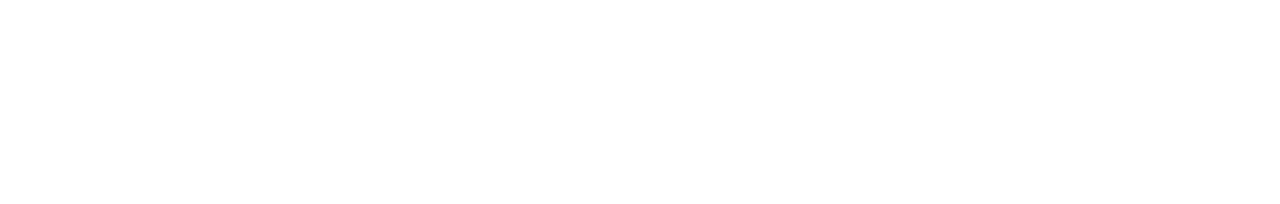 SILVER SPONSORS