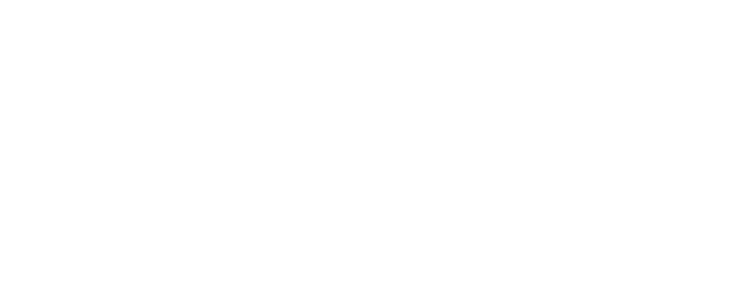 THANK YOU FOR SUPPORTING THE NORTHVILLE MUSTANGS!
