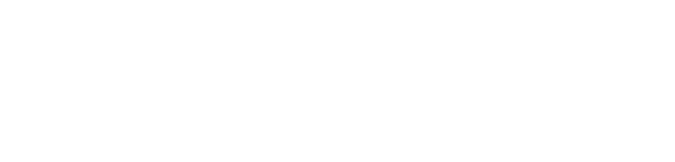 Lake Zurich scores 21 unanswered points in second half to take down Stevenson