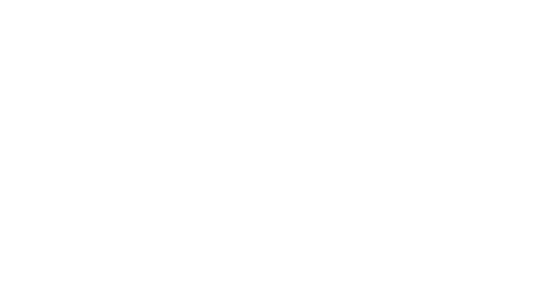 thank you broncos fans!