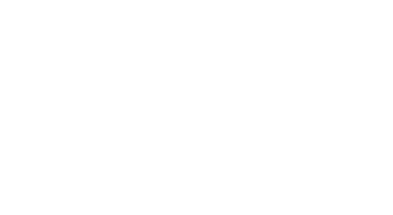 thank you cardinals fans!