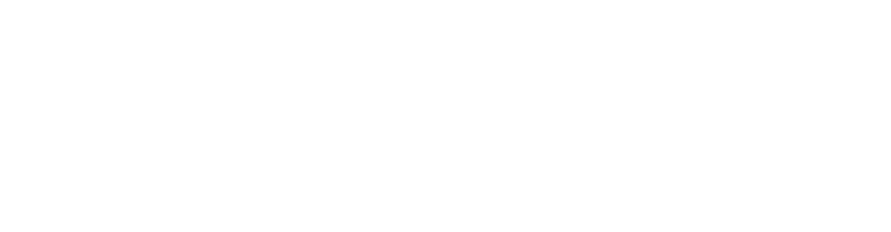 thank you cardinals fans!