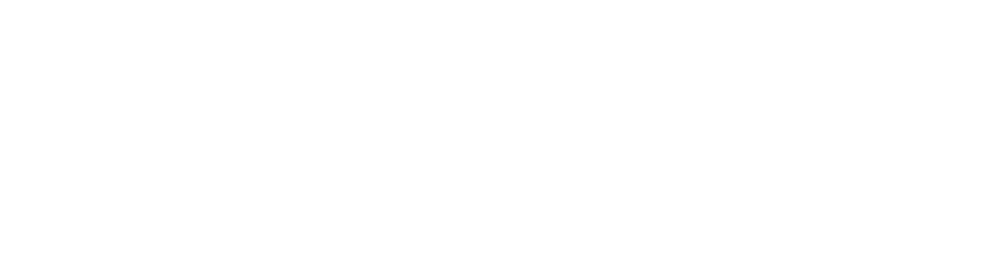 thank you tigers fans!