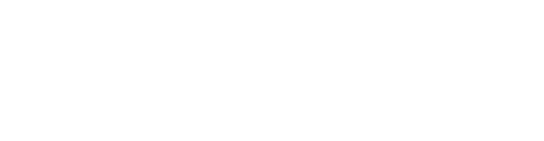 thank you tigers fans!