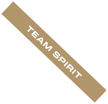 TEAM SPIRIT