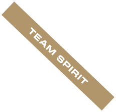 TEAM SPIRIT