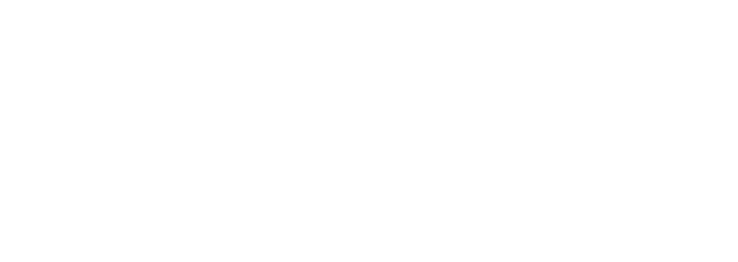 CAPTAIN’S AWARD