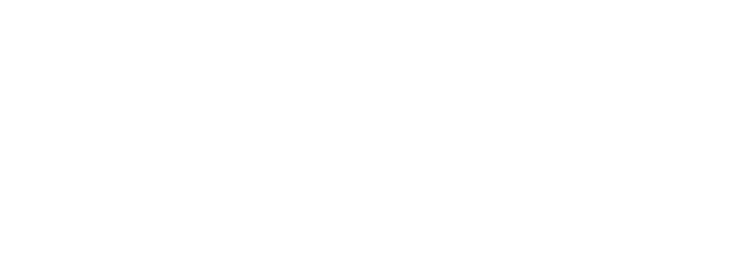 CAPTAIN’S AWARD