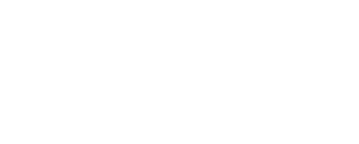 CAPTAIN’S AWARD