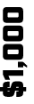 $1,000