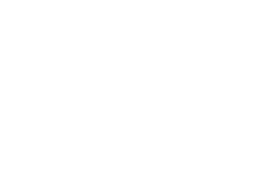 thank you bengals fans!