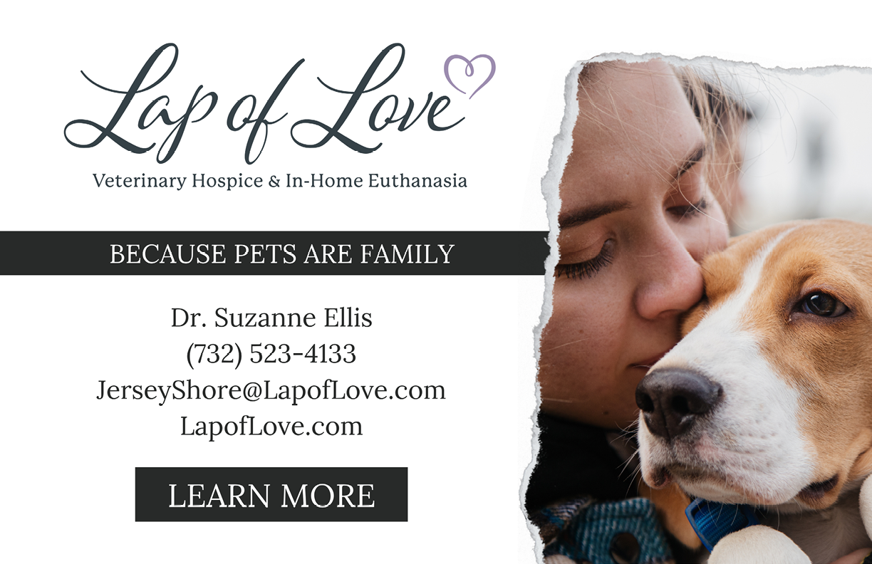 $$$/StateType/Normal