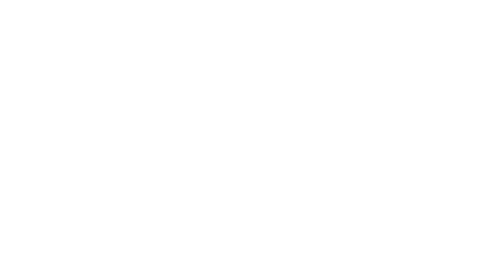 thank you firebird fans!