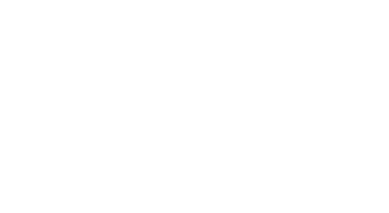 thank you firebird fans!