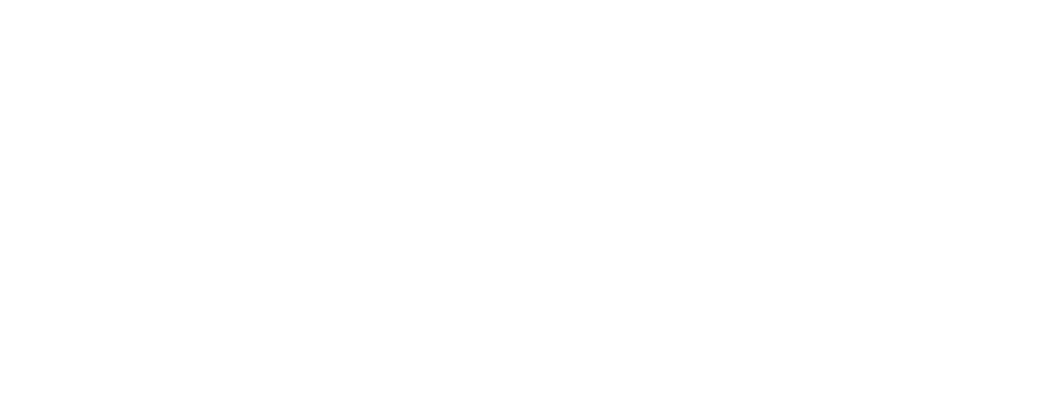 PIRATE PARTY