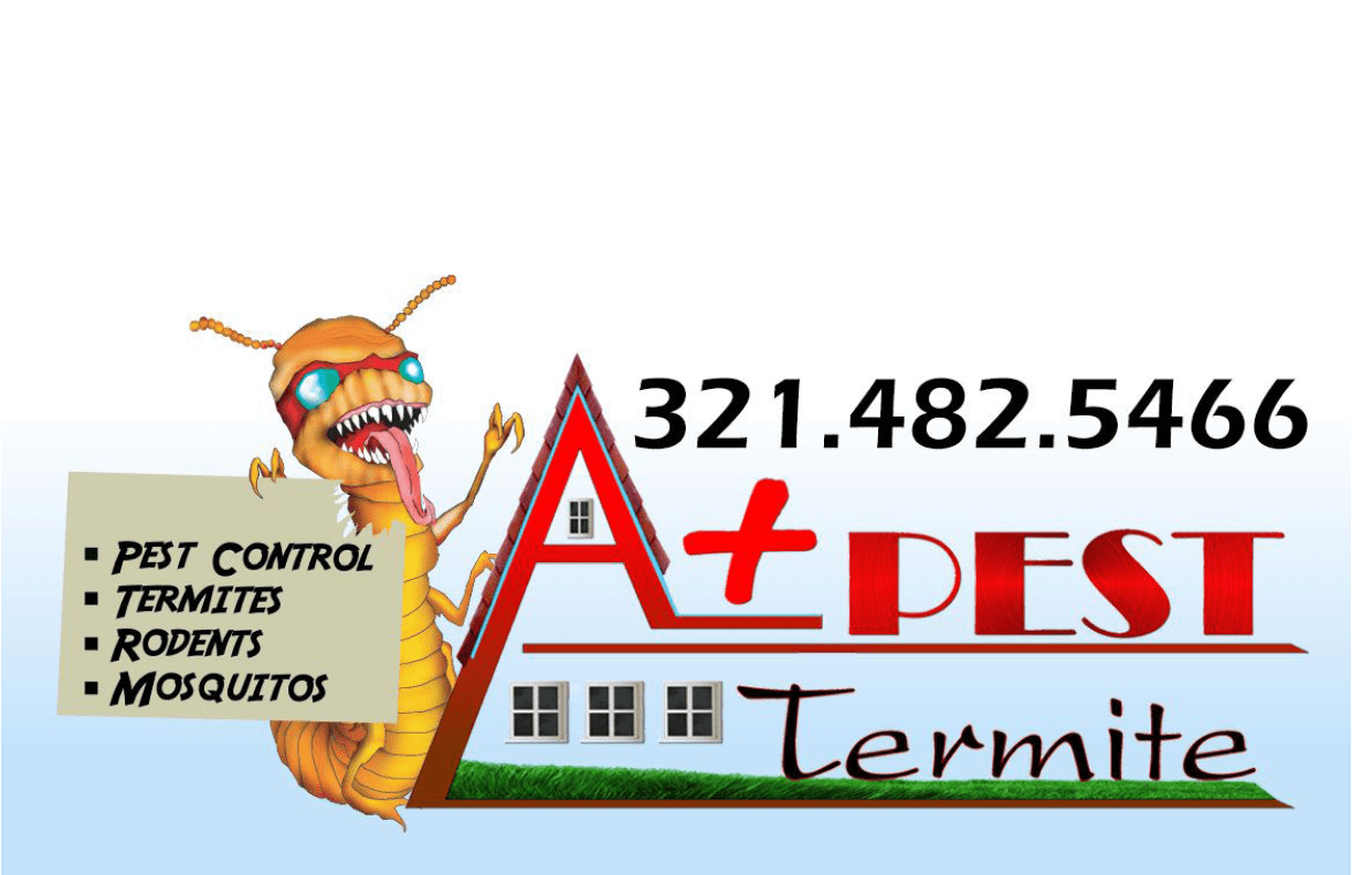 $$$/StateType/Normal