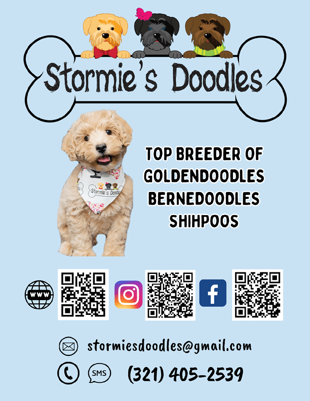 $$$/StateType/Normal