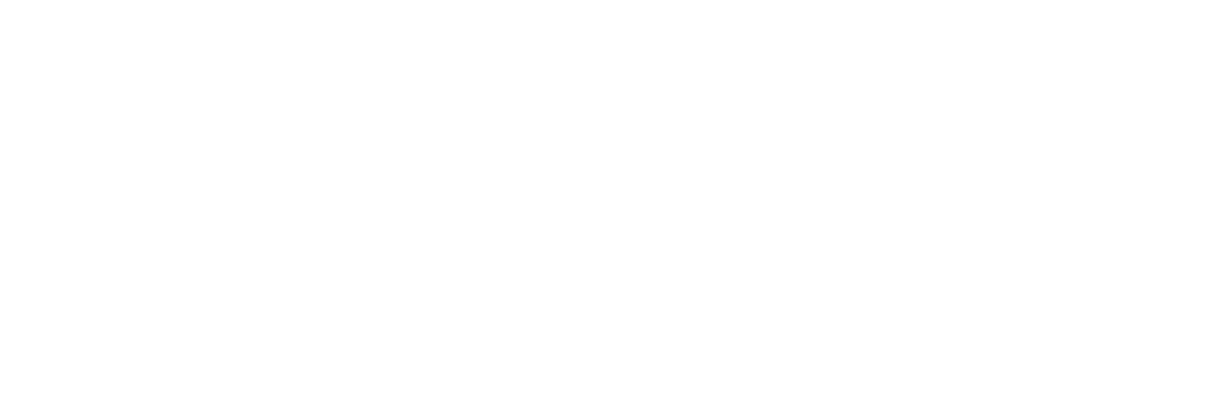 thank you WILDCATS fans!