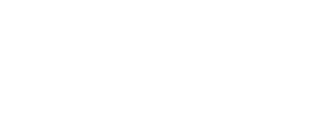 thank you WILDCATS fans!