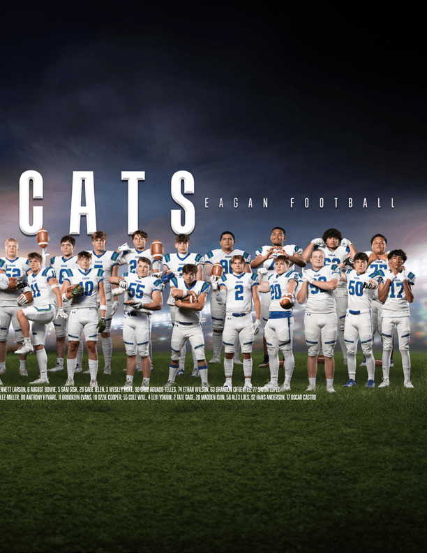 $$$/StateType/Normal