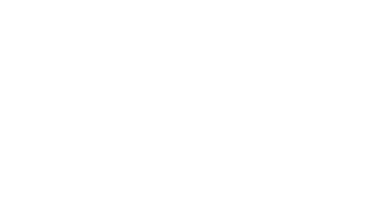 thank you TIGER fans!