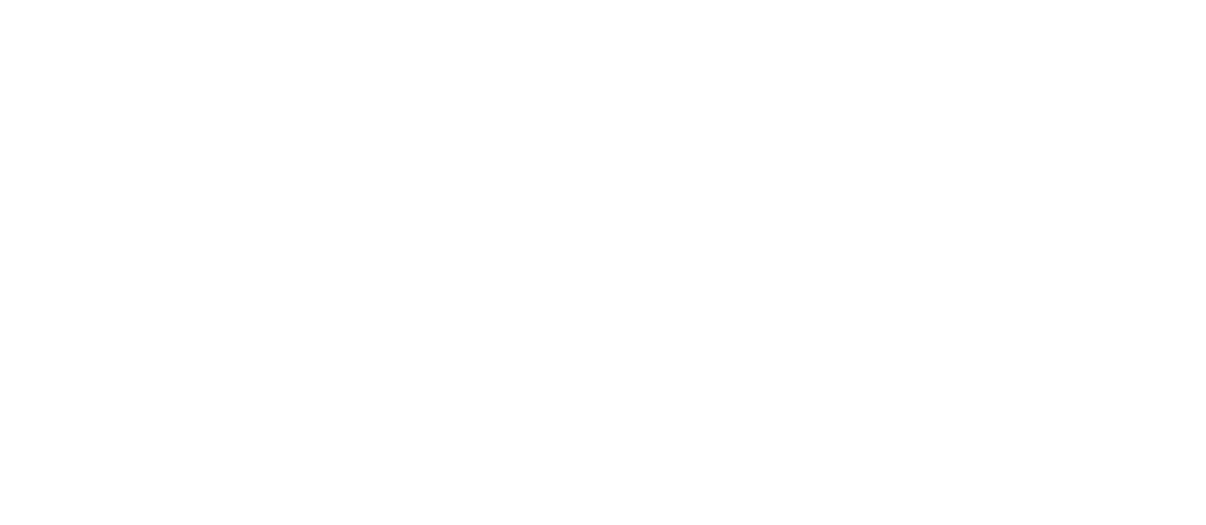 thank you Falcons fans!