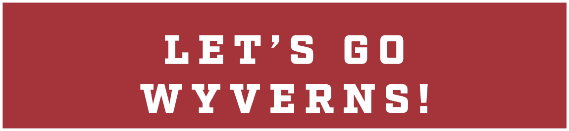 let’s go wyverns!