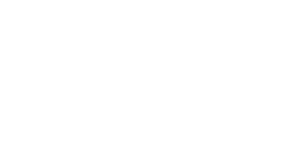thank you lions fans!