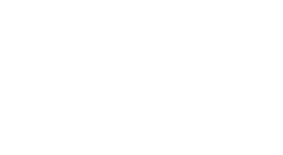 thank you lions fans!