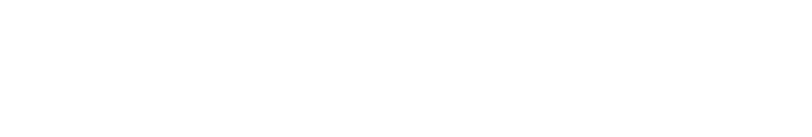 2024 Team Preview: Leo Lions 