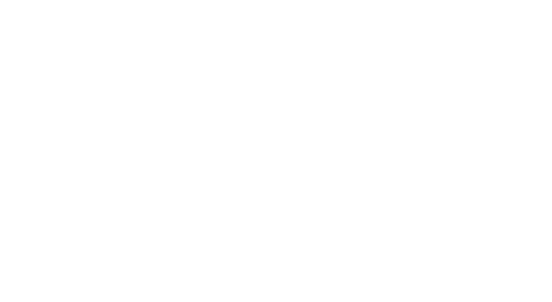 thank you lions fans!