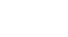 thank you lions fans!