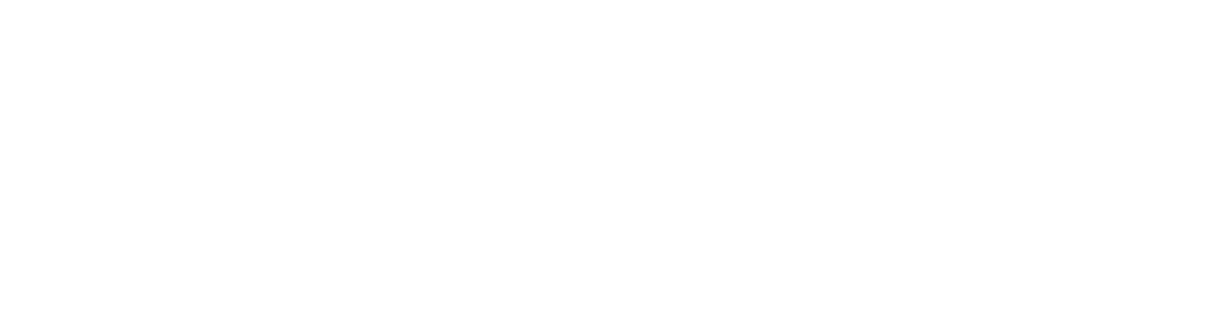 thank you Lions fans!