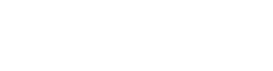 thank you Lions fans!