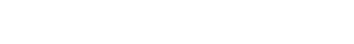 silver sponsors