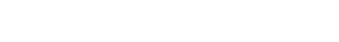 silver sponsors