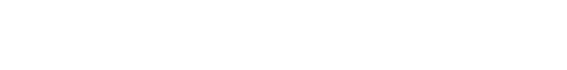 bronze sponsors