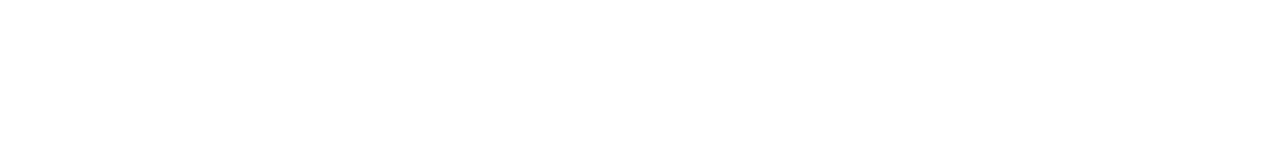 platinum sponsors
