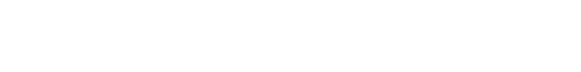 bronze sponsors