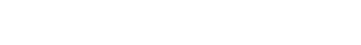 platinum sponsors