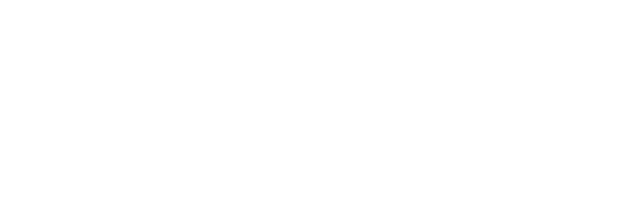 photo of the game