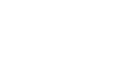 thank you HURRICANEs fans!